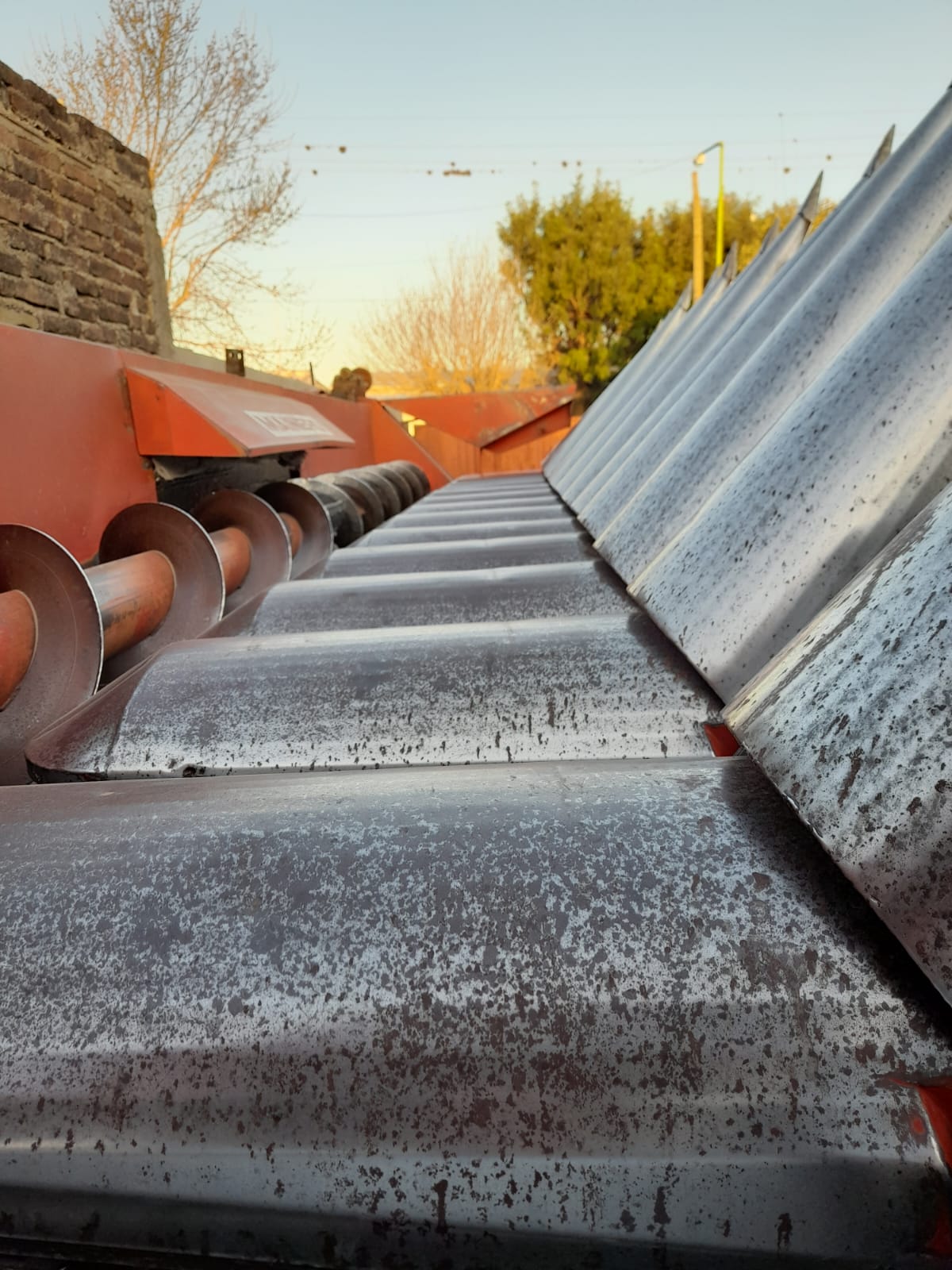 CABEZAL MAICERO MAINERO