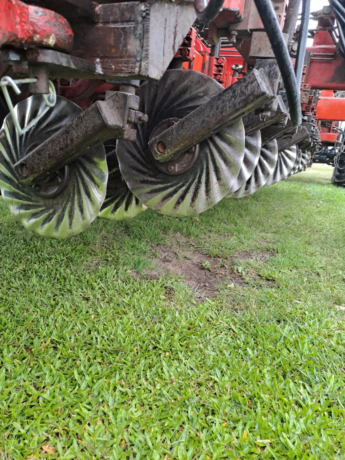 sembradora gherardi g100