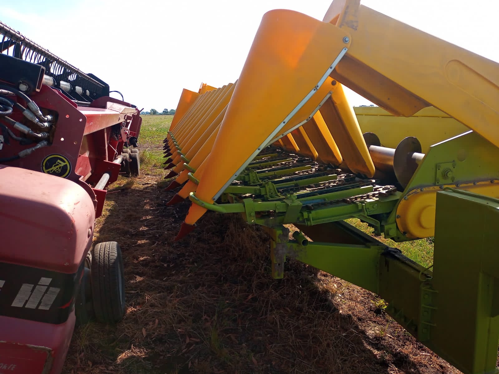 cabezal maicero allochis