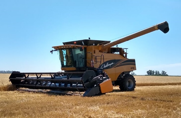 COSECHADORA CHALLENGUER 670