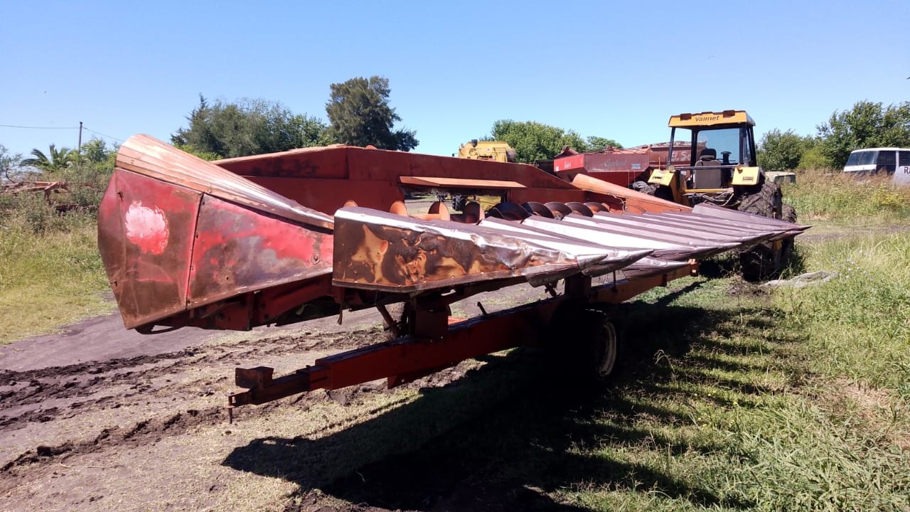 CABEZAL MAICERO MAINERO 1889