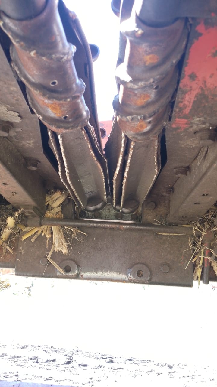 CABEZAL MAICERO MAINERO 1889