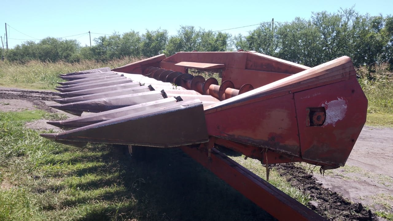 CABEZAL MAICERO MAINERO 1889