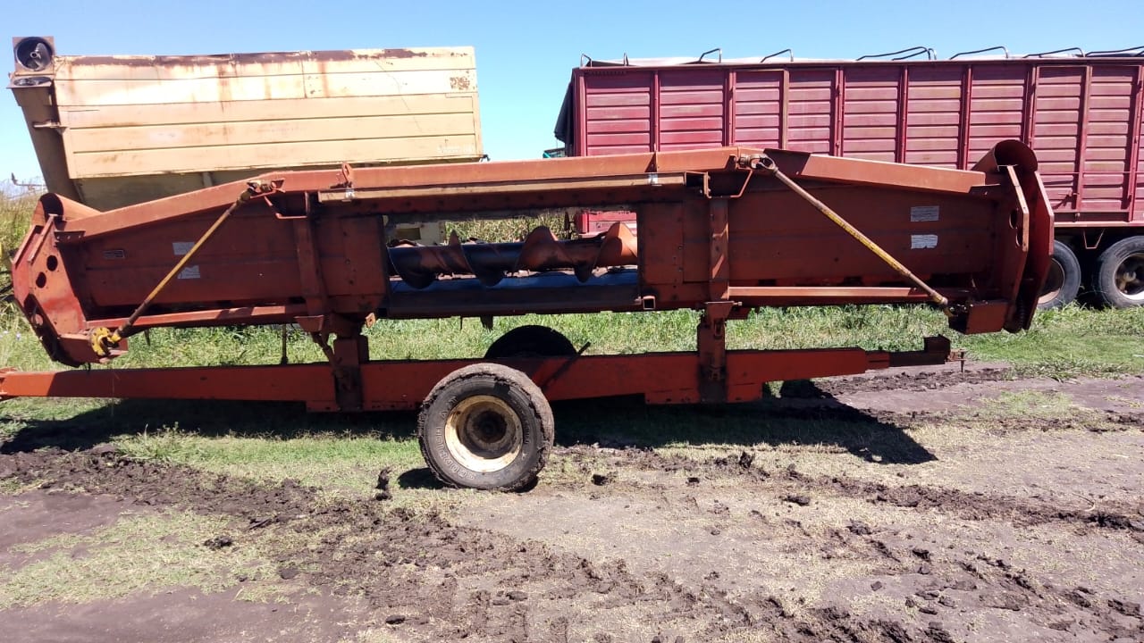 CABEZAL MAICERO MAINERO 1889