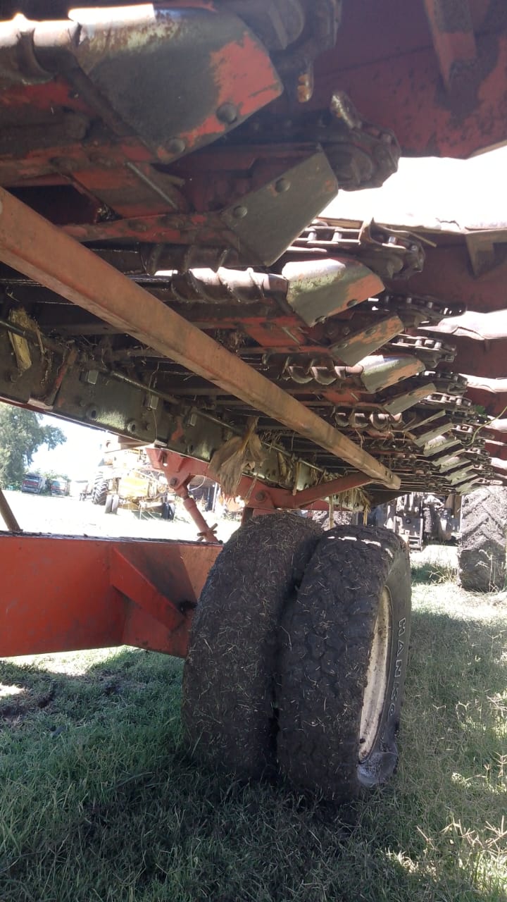 CABEZAL MAICERO MAINERO 1889