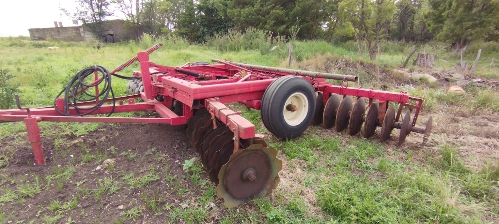 rastra de discos giorgi