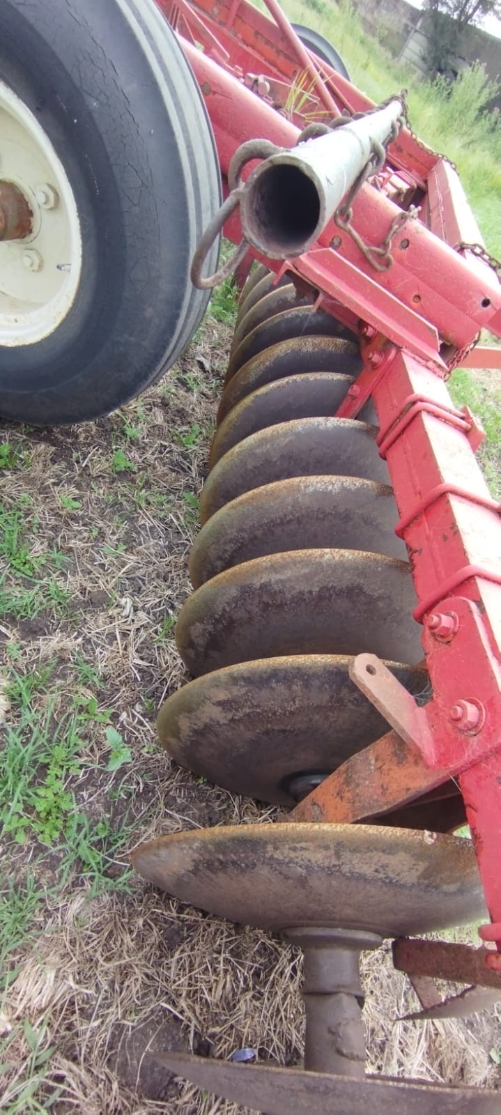 rastra de discos giorgi