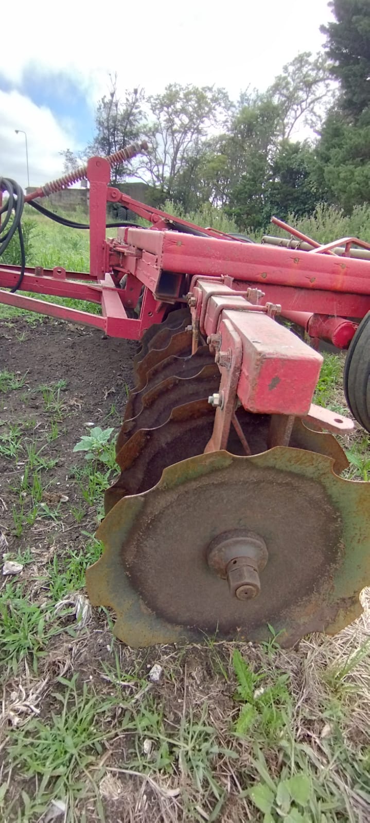 rastra de discos giorgi