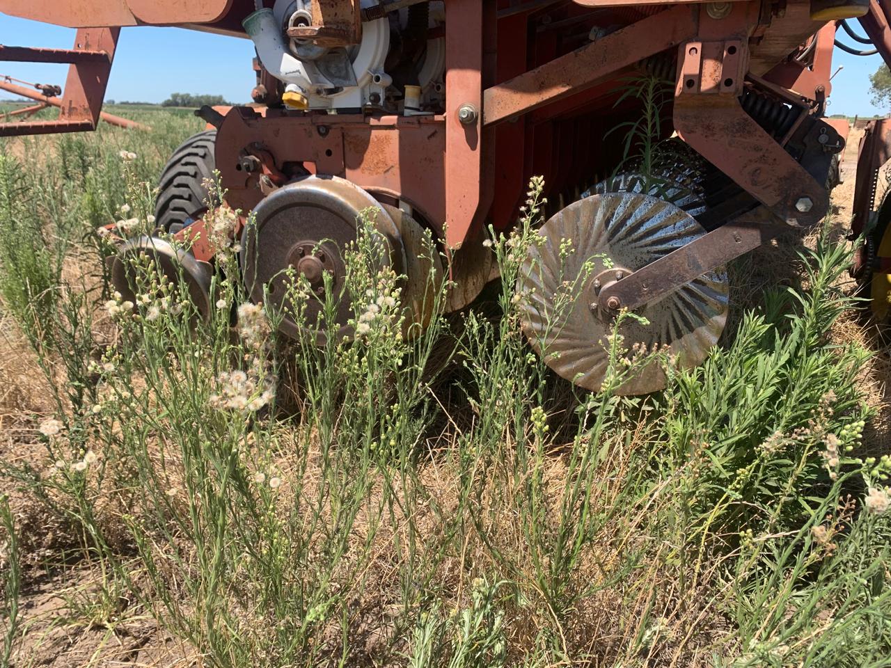 SEMBRADORA BERTINI DE 24 A 35