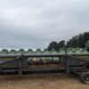Cabezal Maicero Degrande 13 a 52