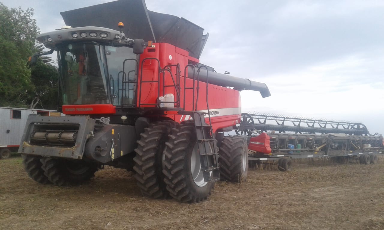 Cosechadora Massey Ferguson 9795