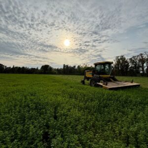 Segadora New Holland H8060 en excelente estado en Opendoor