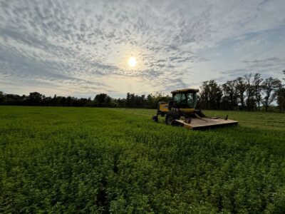 Segadora New Holland H8060 en excelente estado en Opendoor