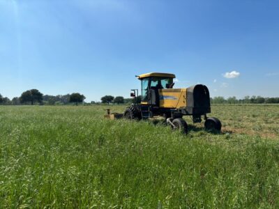 Segadora New Holland H8060 en excelente estado en Opendoor