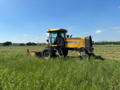 Segadora New Holland H8060 en excelente estado en Opendoor