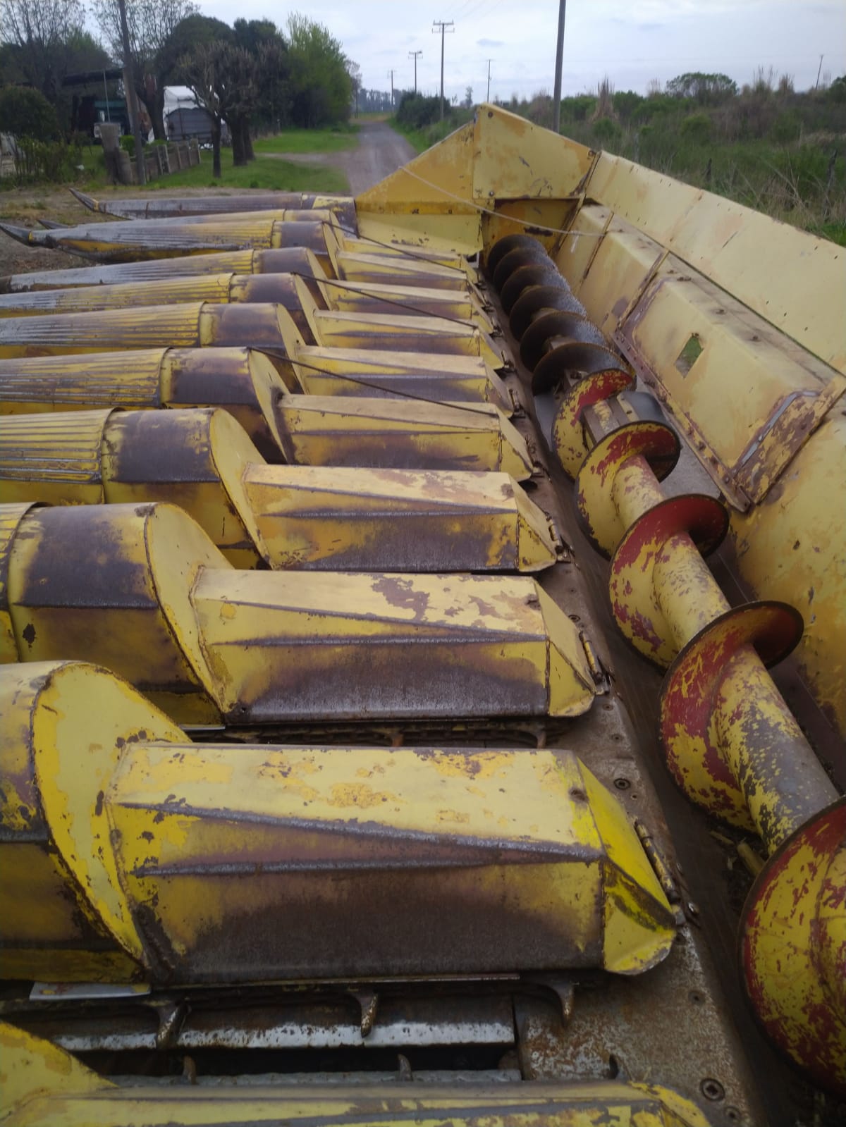 cabezal maicero Case 11 a 52