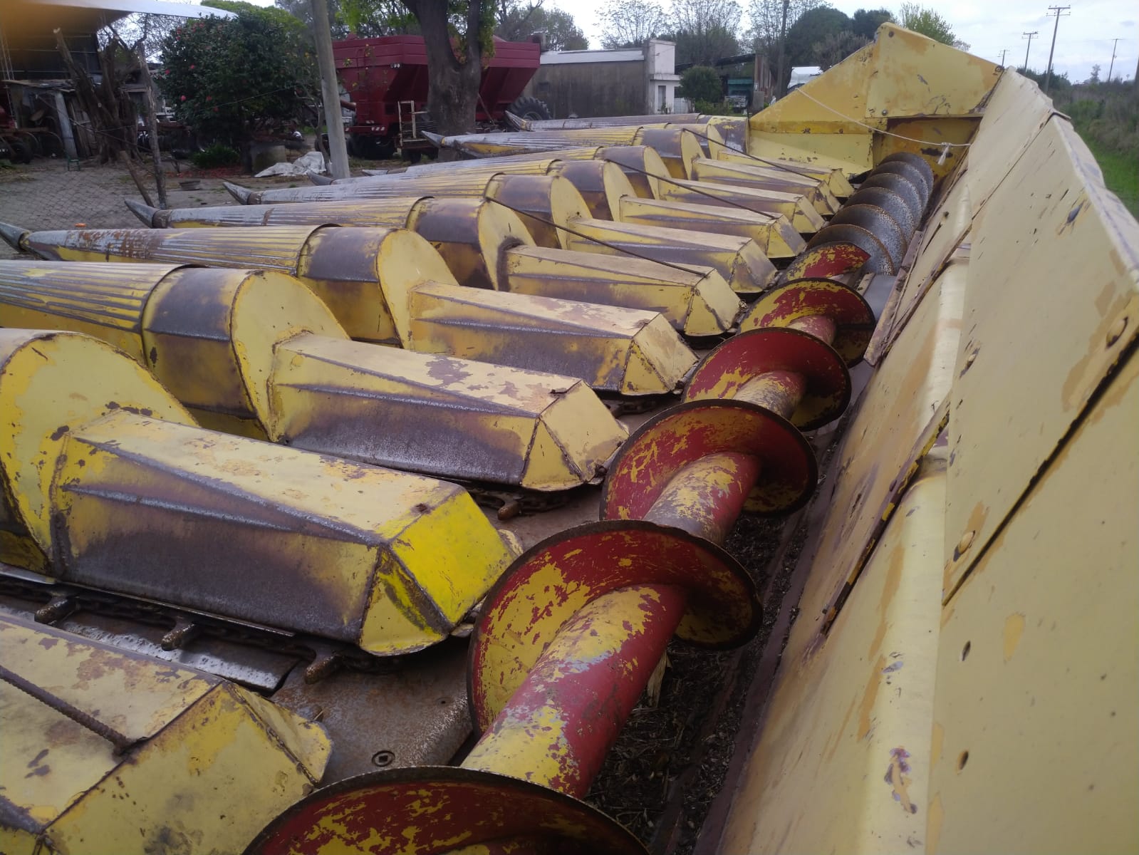 cabezal maicero Case 11 a 52